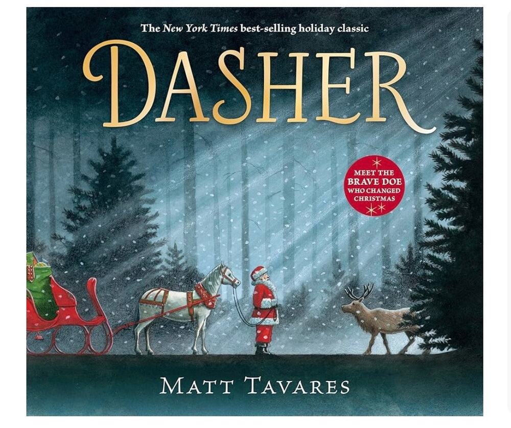 NEW Dasher Hardcover Book, Holiday book, by Matt Tavares